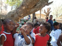 08-Agitated schoolchildren pointing to the steeling monkey
